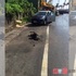 基隆「路邊燒狗」引起網路眾怒!網友臉書號招民眾一起揪出兇手!