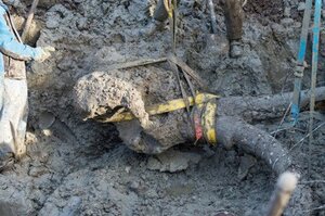 農夫發現土裡有個巨大且不知名的「神秘動物遺骸」，居然只能出動怪手來挖！