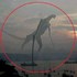 真實存在?意外被相機捕捉到的,世界五大「神秘生物」!(附影片)