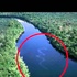 別去惹牠!亞馬遜叢林「殺傷力」最強的五大致命動物,食人魚居然沒上榜!