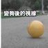 「一天要吃六餐!」如果你變成了一隻狗,你的生活會有多瘋狂?看到最後超感人!