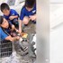 離幸福只差一點點...親人浪浪找到新家前夕竟遭人毒手!孩子們聲淚俱下超不捨!(影片)