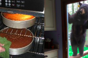 網友在烤「巧克力蛋糕」時以為鄰居在敲窗 ，回頭一看...差點被嚇暈！！