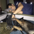 超強颶風來襲還要救災...警察跟搜救犬累攤了也要「牽手補眠」,溫馨畫面讓人超感動!