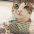 「來人啊!食物呢?」這隻喵皇每天都躺床上,一按服務鈴奴才馬上來伺候牠吃早餐XD