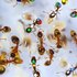 螞蟻真的很勤勞嗎？昆蟲學家發現：至少「40%」的螞蟻是「整天裝忙」幾乎「零貢獻」
