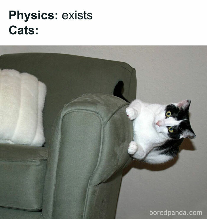 reddit.com