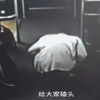 近60老人帶狗狗上公車遭乘客排擠，當場下跪磕頭求諒解還被趕下車