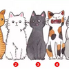 從五隻貓咪裡面選一隻，看看你在別人眼中是什麼形象...結果讓網友大喊「準到爆！」
