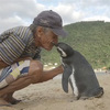 超溫馨(*´∀`)~♥ 企鵝的報恩！小企鵝每年游8000公里只為見上救命恩人一面
