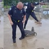 抓到的鱷魚突然回頭，警察嚇到展現出「女性化」的一面，同事全部笑慘了XDD