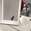 生物老師發現新品種「鍬型蟑螂」...這要是出現在家裡一定會崩潰的呀！！！(影片)
