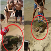 這款無知家長！為了讓小孩站在龜殼上拍照，硬是把海龜從海中拖上岸！