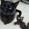 用黑貓掉的毛做了一隻迷你版的牠，結果喵皇超怒：你開什麼玩笑？這是我？！（圖+影片）