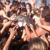 心碎...這隻小海豚被拖出海裡並最後死在簇擁的人群之中，只因為觀光客想和牠合照？！