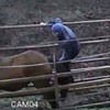 俄男溜進農場，對母馬做「色色」的事，女友得知後的反應...讓網友全部拍手叫好！