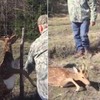 三位獵人打獵途中遇見一隻卡住的鹿，沒有趁機獵殺牠...反而停下車來解救牠一命！(影片)