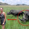 情侶下車跟「野生犀牛」合照，女生在下一秒發覺...真的後悔也來不及了！