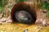 農夫在土裡發現一顆巨大的「龍蛋」，生物學家解答後...原本不信的人全部驚呆！