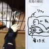 日本一位男子被家裡的狗「欺負」到骨折...這次真的心疼主人！
