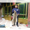 男子上傳貓咪宰殺烹煮過程的照片「這香貓肉不錯！」引來警方關注逮捕歸案！