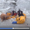 感動！狗狗不小心掉進冰冷的水中，就在牠快凍死時消防隊員英勇跳下海拯救了牠！