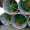 印尼走私猖獗！上百隻鸚鵡強塞水管...奄奄一息的畫面讓人看了不捨又氣憤！