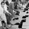 好萊塢徵選「黑貓演員」，飼主們帶著「152隻」黑貓參加試鏡...場面超壯觀！