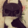 蝙蝠俠的化身？！當貓咪脫下面具後根本就跟蝙蝠俠一模一樣啊！（圖+影片）