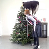 狗狗幫忙掛聖誕節裝飾，更厲害的是連那顆星星都...愛過聖誕節的狗狗太Ｑ啦！（影片）