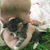 「我保護你！！」寶寶和小貓們在草地玩耍，突然小手一攬...把小貓攬在懷裡惜惜，又萌又霸氣！（影片）