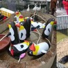 中國動物園引進企鵝吸引遊客爭相入園，但仔細一看...大家立刻氣的喊退票！
