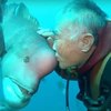 神奇！潛水夫與魚之間長達25年的超真摯友情，呼之即來又愛撒嬌完全是狗狗性格來著啊(๑´ㅂ`๑)