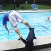 絕對積怨超深XD 當狗狗看見一名男子站在泳池邊時，二話不說立刻一把推入泳池