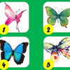 超準！直覺選一隻你最喜歡的蝴蝶！答案將揭曉你「最美的性格形象｣！