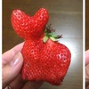 總覺得草莓形狀怪怪，畫上圖後原來是「貓咪草莓」阿！接下來網友也各自發揮創意啦！