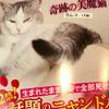 覺得買到「貓咪成人雜誌」，一看內容網友真的笑翻啦！美腳女王是什麼啦！