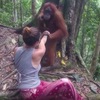 正妹餵紅毛猩猩，馬上被猩猩「綁架」當作人質，渡過了人生最難熬的4分鐘