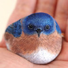 「好可愛的藍色鳥鳥...」網友手捧超美藍色鳥寶，沒想到真實身分讓人大吃一驚！