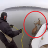 正當這兩隻小鹿在冰凍湖面上動彈不得之際，這名男子拿出了繩索朝牠們靠近...