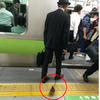 搭地鐵時發現一個大叔在「遛鳥」！走近一看....真實身分讓人大吃一驚！