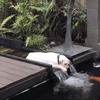 汪汪躺在流往池塘的水道上，正好奇牠在幹嘛...走近看到牠的表情就笑死了XD(影片)