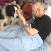 重病老爺爺最後心願「想見愛犬一面」...好心醫院破例通融，結局讓人完全感動淚崩！