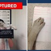 這隻狗狗被警察杯杯以「太可愛」的罪名逮捕，目前已押了手印等待親友來交保XD