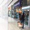 導盲犬自動將視障主人導航至寵物商場，熟門熟路的樣子完全就是熟客啊！（影片）
