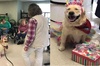 人們為治療犬秘密準備生日派對，當牠看到驚喜一幕時笑的停不下來！
