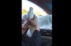 如何在停車場抓到海鷗？男子爆笑示範～網友跟副駕駛座都笑到無法自拔！
