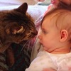 平常兇巴巴的喵皇靠近寶寶，結果完全變一隻貓了！！不公平啦這麼溫柔ＸＤ！