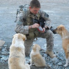 好心軍人在阿富汗戰場認養3隻當地的流浪狗，但他們的命運在一起爆炸之後徹底改變...