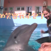 海豚拯救計劃！海豚和自閉兒童互動畫面，讓人看了超暖心！
